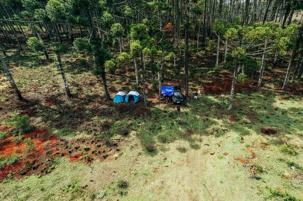 Les Meilleurs Moments pour Réserver vos Voyages et Profiter des Offres Imbattables !